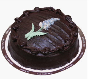 chocolate fudge purple hyacinth